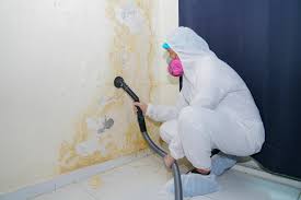 Best Forensic Mold Investigation  in Vincent, AL